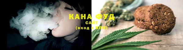 МДПВ Краснослободск