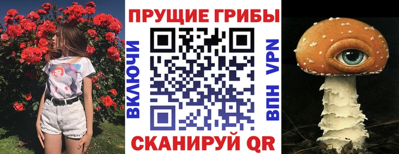 Галлюциногенные грибы мицелий  хочу   Лебедянь 